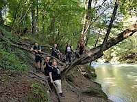 Wanderung in der Erlaufschlucht