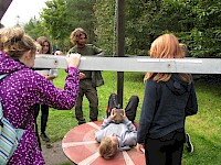 Sommercamp 2014